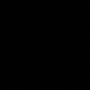 Meet your Posher, Charlie